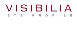 Logo der Firma visibilia